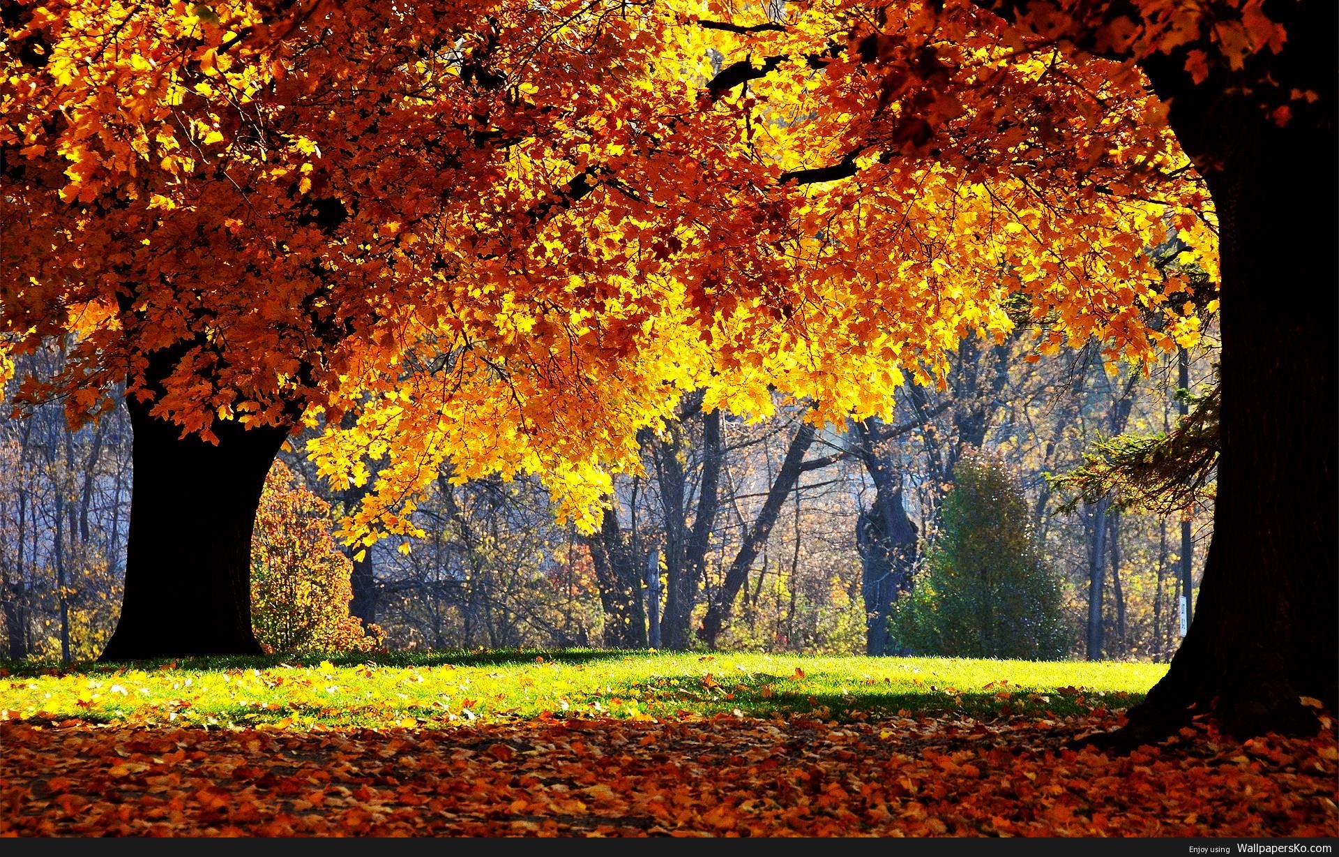 Autumn Wallpaper For Desktops