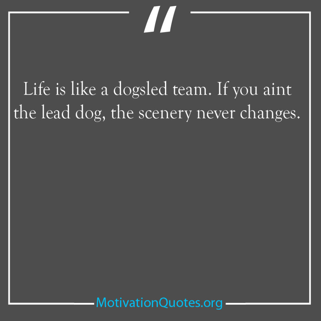 Life is like a dogsled team If you aint the lead