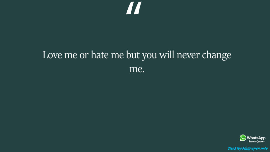Love me or hate me but you will never change me