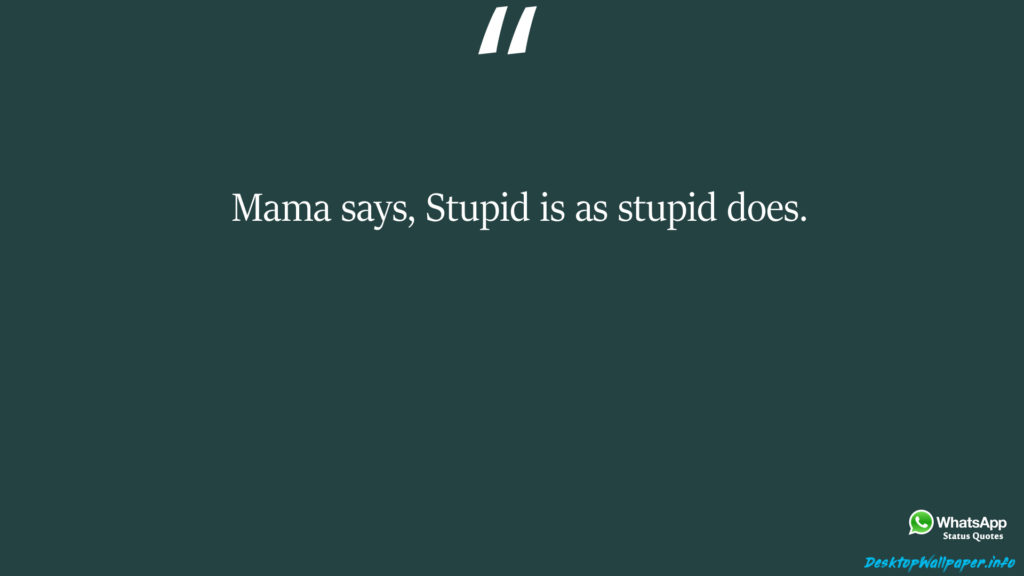 Mama says Stupid is as stupid does 