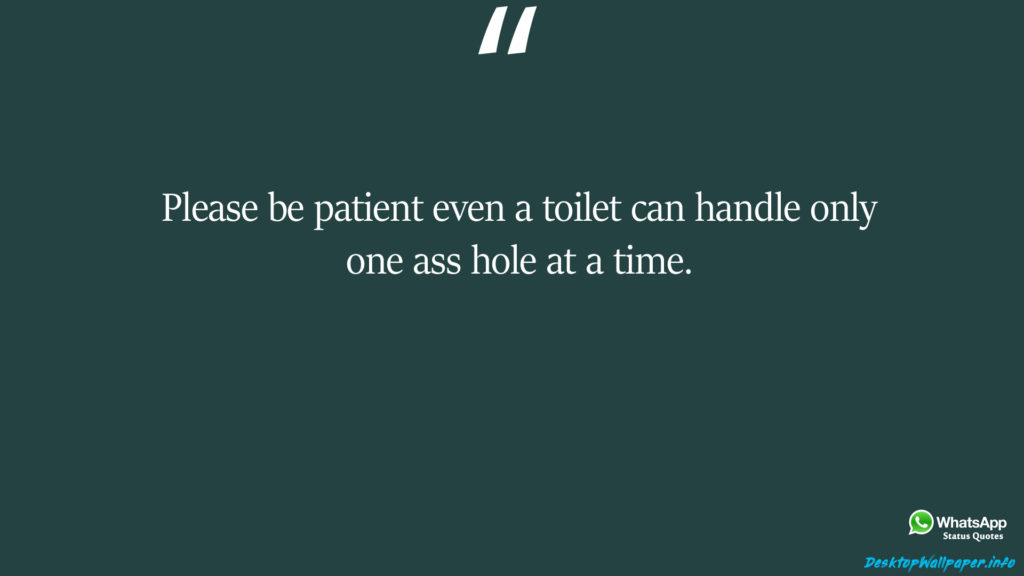 Please be patient even a toilet can handle only one ass