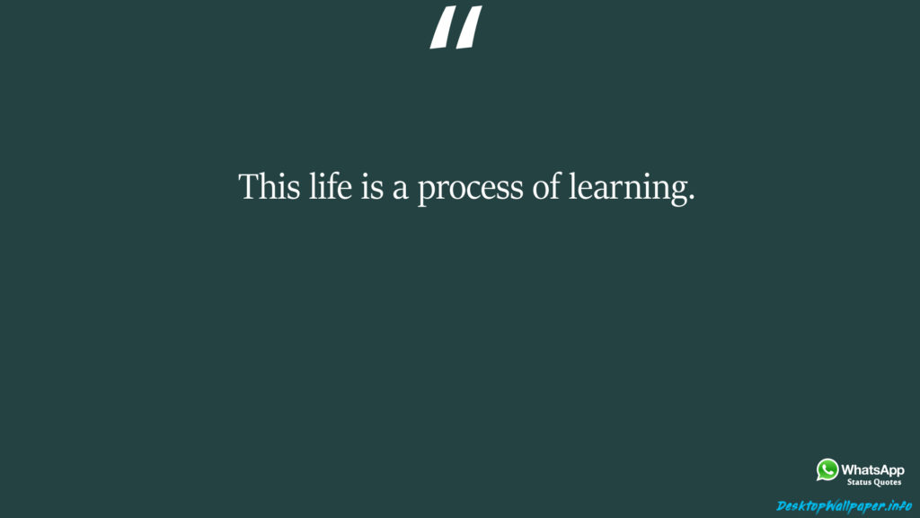 This life is a process of learning 