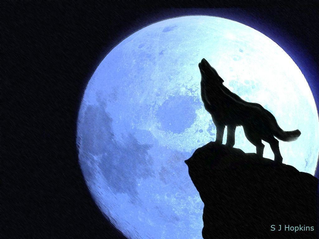 drawing of a wolf howling at the moon