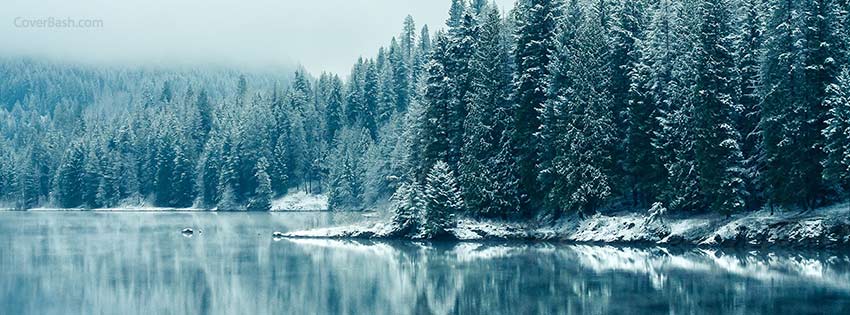 ireland winter forest fb cover