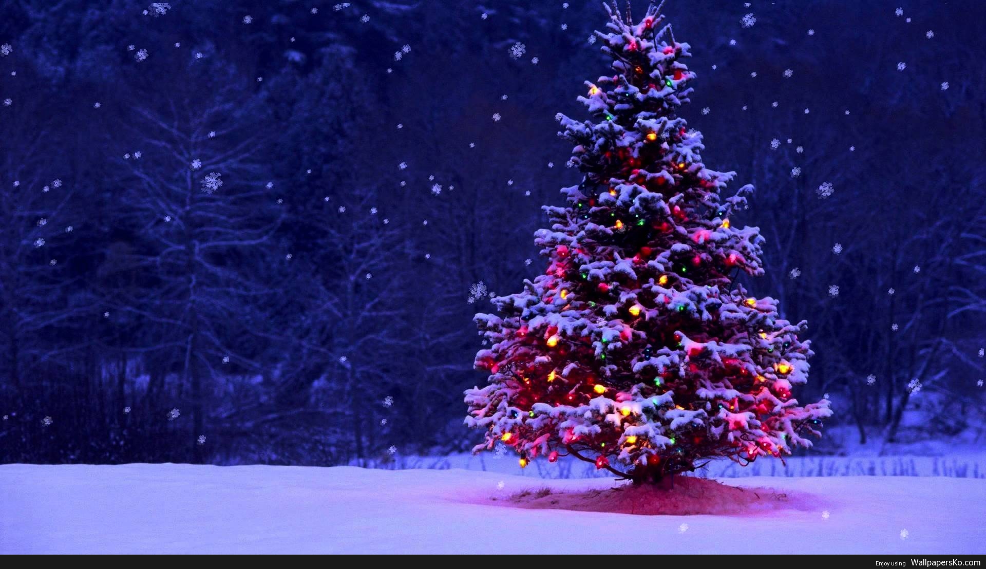 Christmas Winter Pics : HD Wallpapers Download