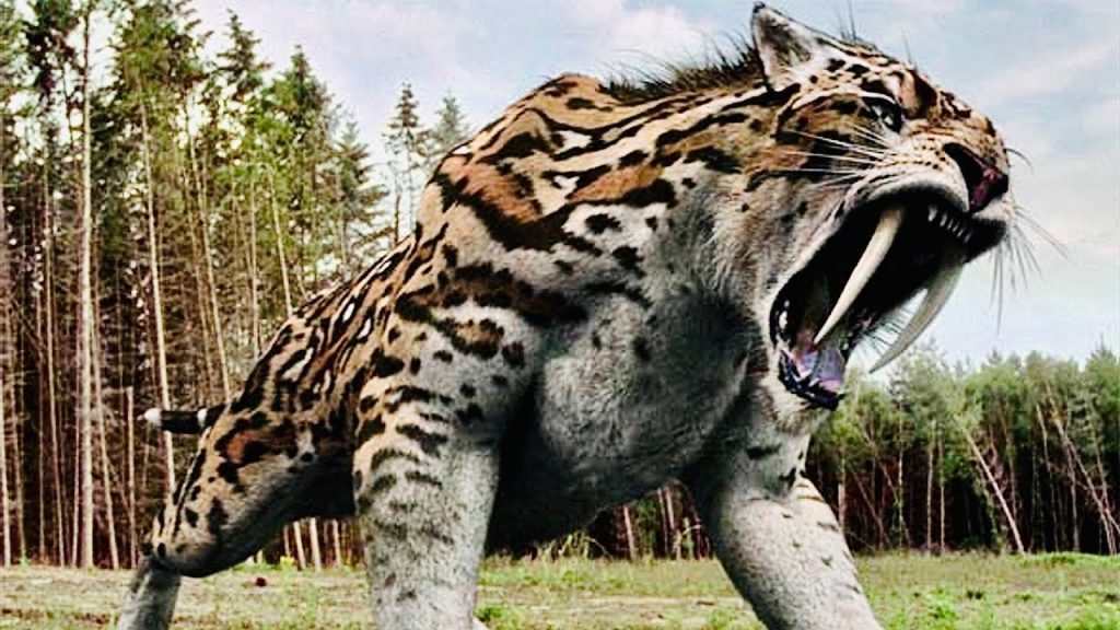 Saber Toothed Tiger Picture