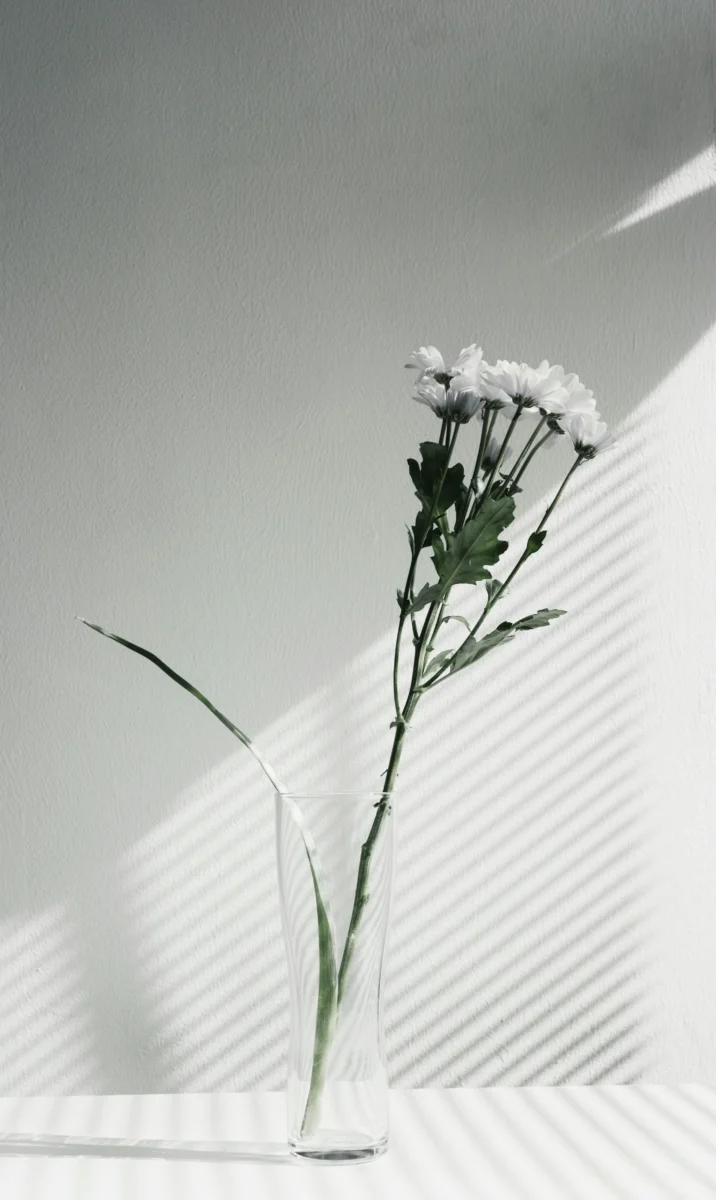Minimalist aesthetic white petaled flower centerpiece ZhoSk in ultra high definition 4K for mobile AMOLED and desktop screens