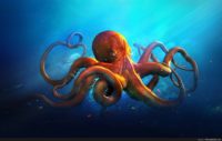 Hd Octopus Wallpaper
