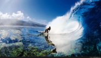 Hd Surfing Wallpaper