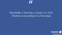 Knowledge is knowing a tomato is a fruit Wisdom is not facebook status