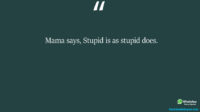 Mama says Stupid is as stupid does