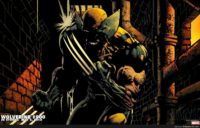 Marvel Wolverine Wallpaper