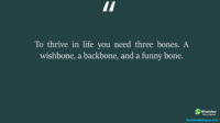 To thrive in life you need three bones A wishbone a
