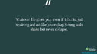 Whatever life gives you even if it hurts just be strong