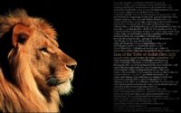 picture of lion of the tribe of judah
