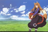 spice and wolf wallpaper