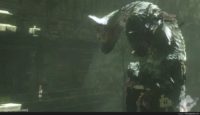 the last guardian wallpapers hd