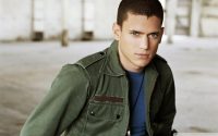 wallpapers wentworth miller